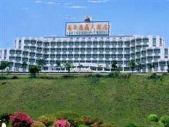 �����Ҫ������Ƶ�